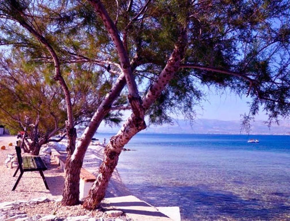 Apartman Bonaca Trogir Eksteriør billede